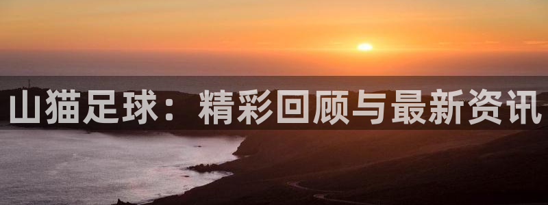 山猫足球：精彩回顾与最新资讯