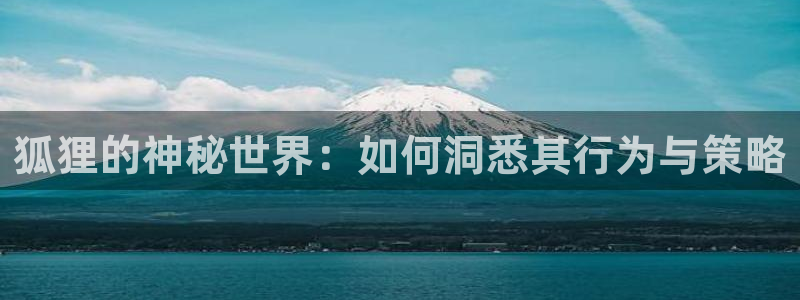 狐狸的神秘世界：如何洞悉其行为与策略