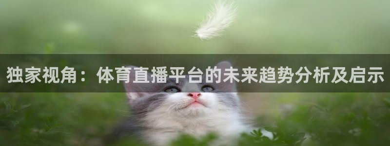 独家视角：体育直播平台的未来趋势分析及启示