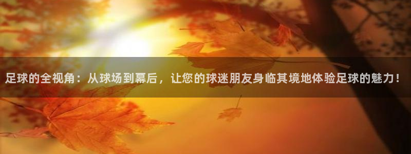 足球的全视角：从球场到幕后，让您的球迷朋友身临其境地体验足球的魅力！